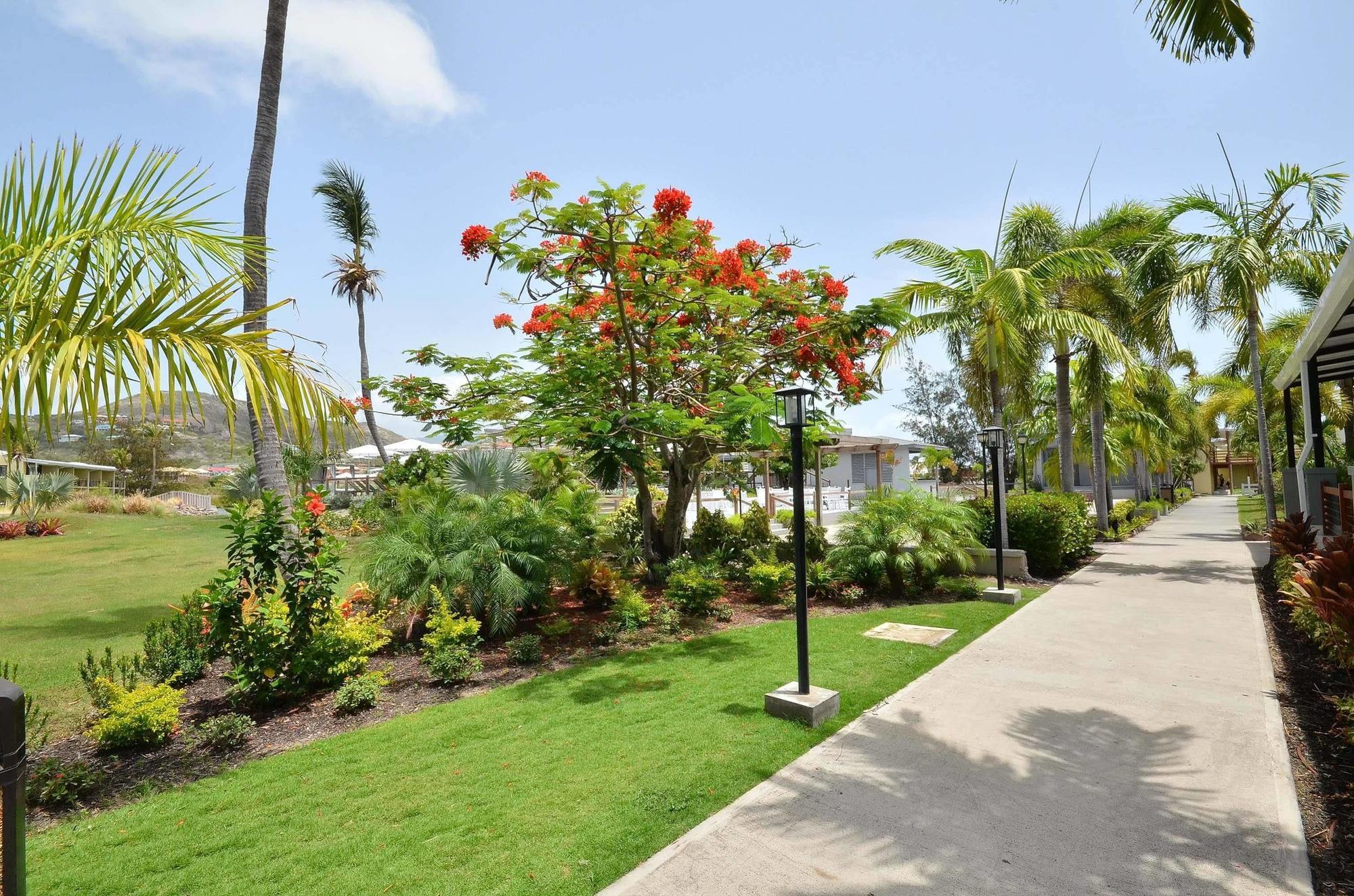Royal St. Kitts Hotel Frigate Bay Exteriör bild